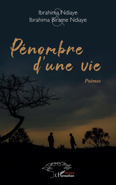 Picture of Pénombre d’une vie