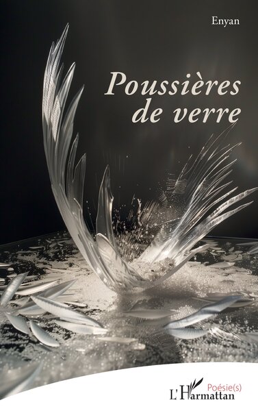 Picture of Poussières de verre