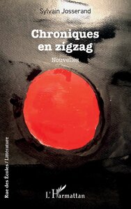Image de Chroniques en zigzag