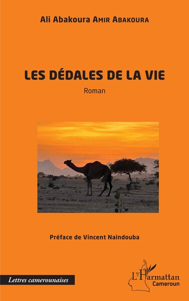 Picture of Les dédales de la vie