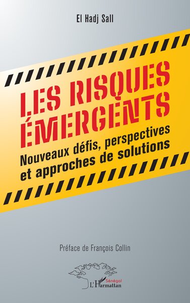 Picture of Les risques émergents