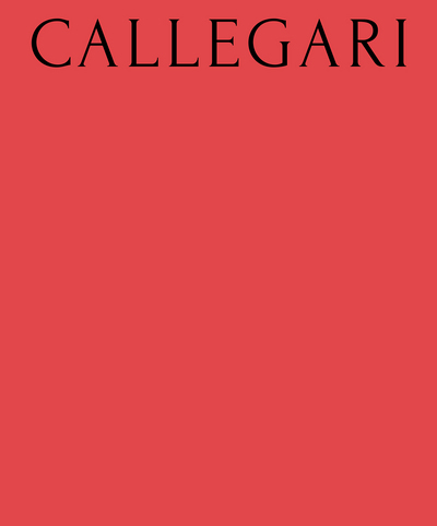 Picture of Matteo Callegari