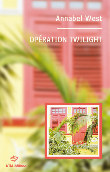 Image de OPERATION TWILIGHT