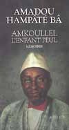 Picture of Amkoullel l'enfant peul - Mémoires I