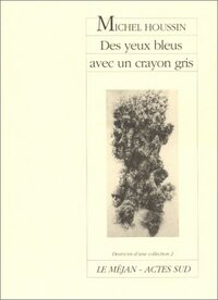 Picture of Des yeux bleus avec un crayon gris