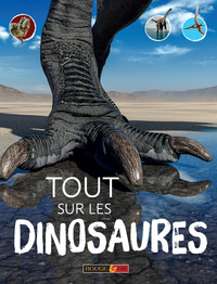 Picture of Tout sur les dinosaures