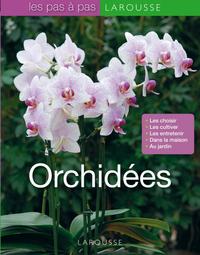 Image de Orchidées
