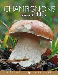 Picture of Champignons comestibles