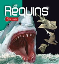 Image de Les Requins