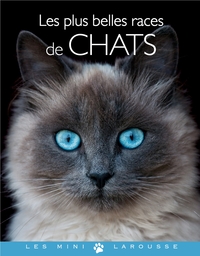 Picture of Les plus belles races de chats