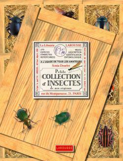 Picture of Petite collection d'insectes de nos régions