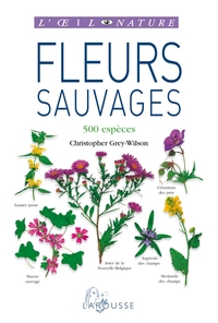 Picture of Fleurs sauvages - nouvelle présentation