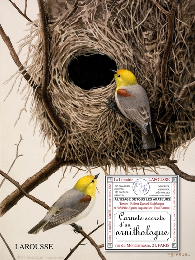 Picture of Carnets secrets d'un ornithologue