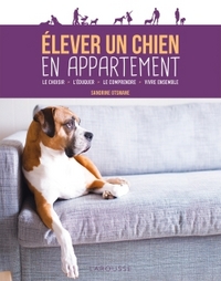Picture of Élever un chien en appartement