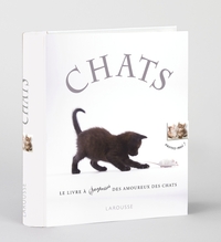 Picture of Chats - nouvelle présentation