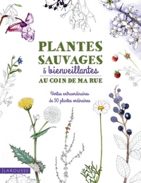 Picture of Plantes sauvages & bienveillantes au coin de ma rue