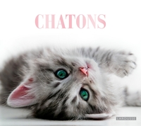 Picture of Chatons
