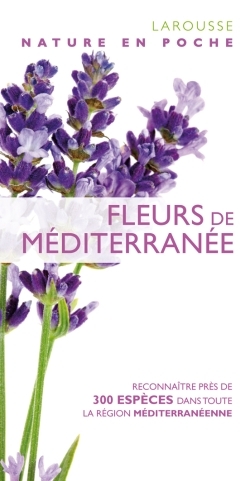 Picture of Fleurs de Méditerranée - nouvelle présentation