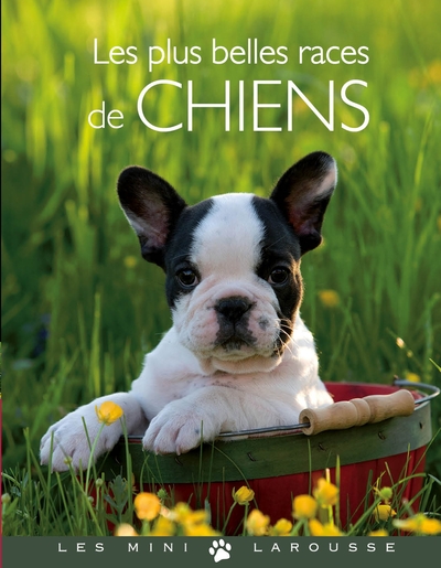 Picture of Les plus belles races de chiens