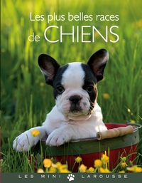 Picture of Les plus belles races de chiens
