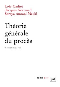 Image de Théorie générale du procès