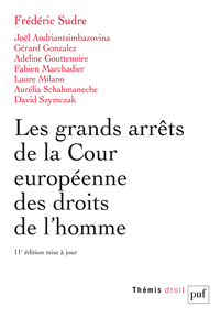 Image de Les grands arrêts de la Cour européenne des droits de l'homme