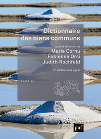 Image de Dictionnaire des biens communs