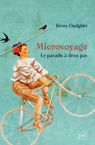 Picture of Microvoyage