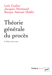 Picture of Théorie générale du procès