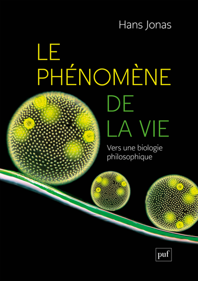 Picture of Le phénomène de la vie