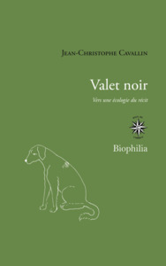 Picture of Valet noir