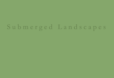 Image de Submerged Landscapes: A pinhole photographic tale