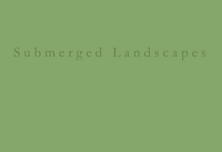 Image de Submerged Landscapes: A pinhole photographic tale