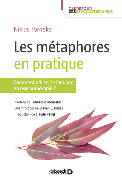 Image de Les métaphores en pratique