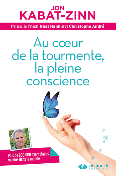 Picture of Au cœur de la tourmente, la pleine conscience