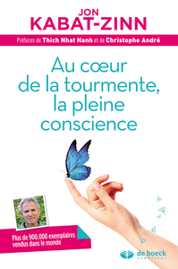 Picture of Au cœur de la tourmente, la pleine conscience