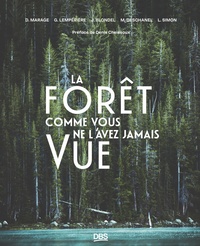 Image de La forêt comme vous ne l'avez jamais vue !