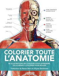 Image de Colorier toute l'anatomie