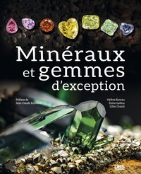Picture of Minéraux et gemmes d'exception