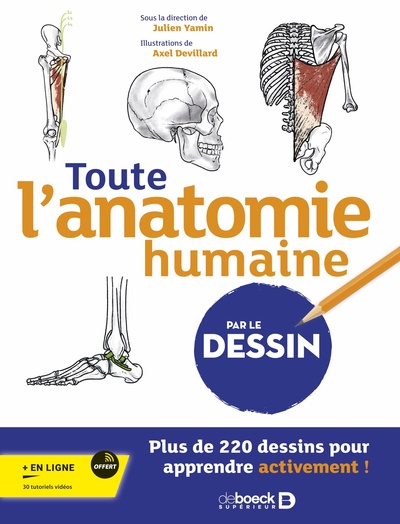 Image de Toute l’anatomie humaine par le dessin