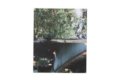 Image de Blu