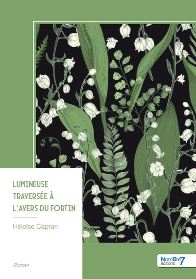 Image de Lumineuse traversée à l'avers du fortin