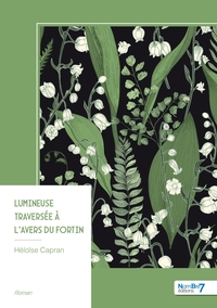 Image de Lumineuse traversée à l'avers du fortin