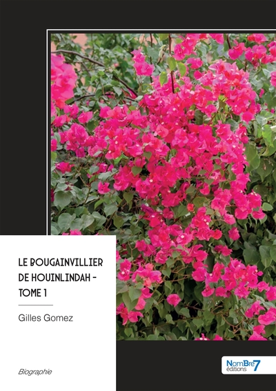 Picture of Le bougainvillier de Houinlindah - Tome 1