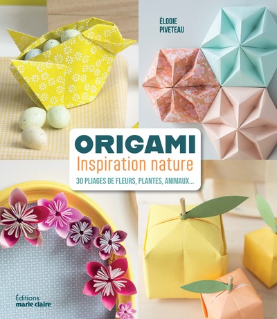 Picture of Origami inspiration nature