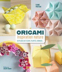 Picture of Origami inspiration nature