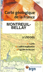 Image de 0512P MONTREUIL BELLAY A PLAT