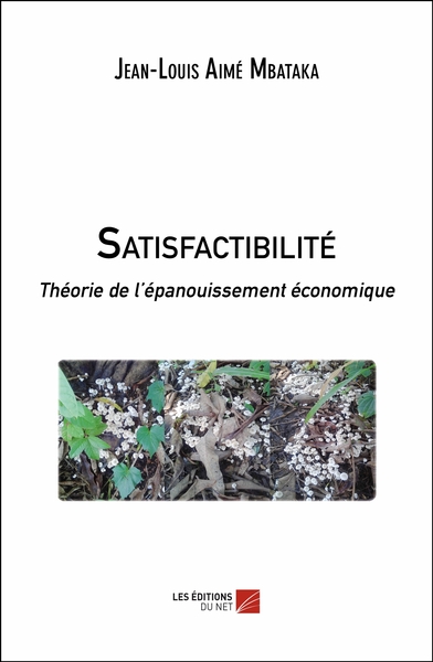 Image de Satisfactibilité