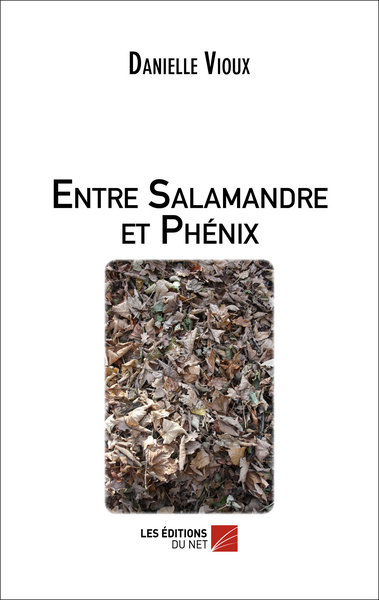 Image de Entre Salamandre et Phénix