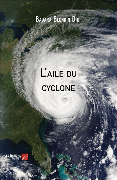 Image de L'aile du cyclone